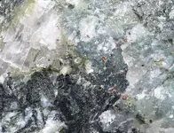 bits of pyrite.webp
