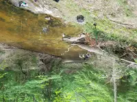 20190525_174755.webp