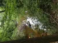 20190525_174744.webp