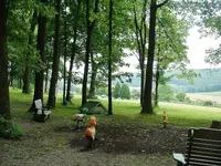 DSCF0011.webp