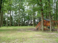 DSCF0009.webp