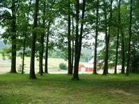 DSCF0002.webp