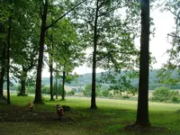 DSCF0003.webp