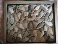 20190628_200557.webp