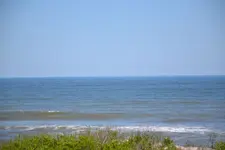156.webp