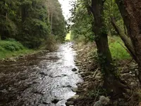 River.webp