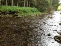 River 2.webp