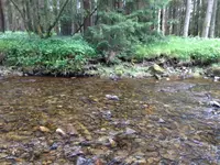 River 3.webp