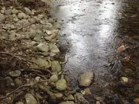 River 5.webp