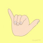 DAAD87D6-3DC1-413E-B794-85D6E4581D3F.gif