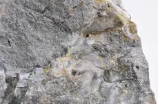 pyrite and spahelrite on carbonate rock4.webp