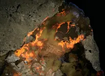 pyrite and spahelrite on carbonate rock3.webp