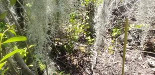 20190518_115955.webp