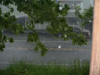 DSCF0004.webp