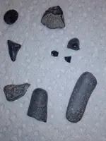ToothMaybeMarlRoadFind_Group2_March2019.webp