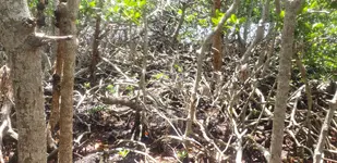 20190518_123156.webp