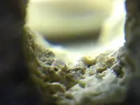 FishNetWeight_ClearInsideHole14.webp
