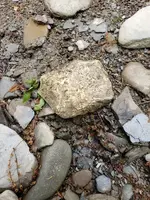 20190528_170946.webp