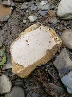 20190528_170953.webp