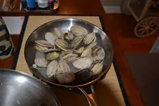 102.webp