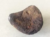 meteorite 4.webp