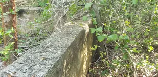 20190702_174406.webp 20190702_174406.webp
