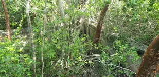 20190702_174354.webp 20190702_174354.webp