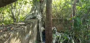 20190702_174500.webp 20190702_174500.webp