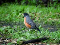 K1600_DSCN4948.webp