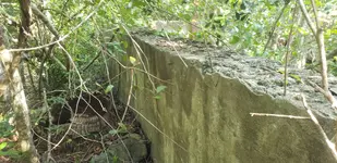 20190702_174420.webp 20190702_174420.webp