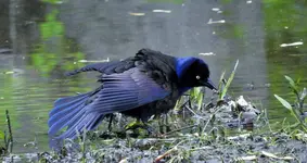 K1600_DSCN4960.webp