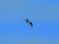 DSCN5054_InPixio.webp