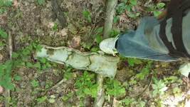 20190623_142921.webp