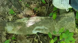 20190623_142959.webp