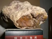 CIMG4077.webp