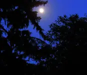 moon second bridge 006.webp moon second bridge 006.webp