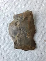 20190519_155032.webp