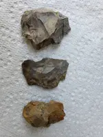 20190519_154535.webp