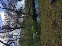 20190508_111754.webp