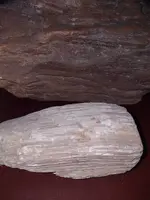 1558297321159.webp