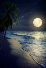 full moon beach.jpg