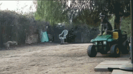 7718df882a9c1012954d6cf3d33b1764.gif