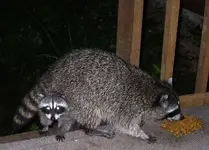 DSCF9354.webp