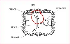 knee buckle.webp