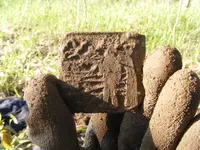 DSCF9670.webp