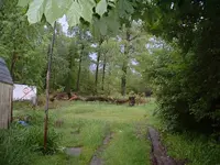DSCF0001.webp