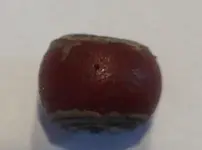 bead3.webp bead3.webp