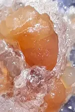 20190703_092216~2.webp