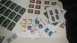 64552620_351344152231298_174580567927422976_n.webp