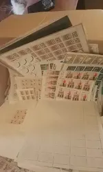 64788221_360498264608529_3196231730159681536_n.webp